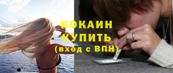 мет Арсеньев