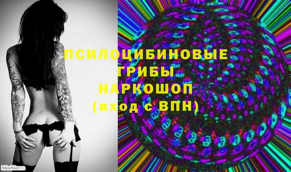 ГАЛЛЮЦИНОГЕННЫЕ ГРИБЫ Армянск